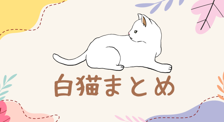 白猫って神秘的！